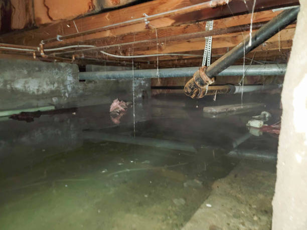 Best Water damage restoration near me  in Unicoi, TN