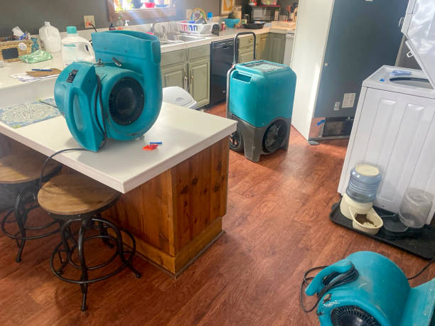 Best Commercial water damage restoration  in Unicoi, TN
