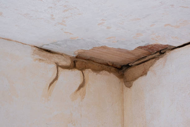 Best Flood restoration services  in Unicoi, TN