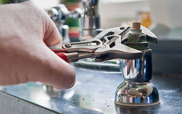 Best Water damage cleanup near me  in Unicoi, TN