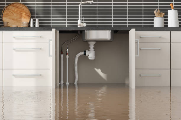 Best Mold removal after water damage  in Unicoi, TN